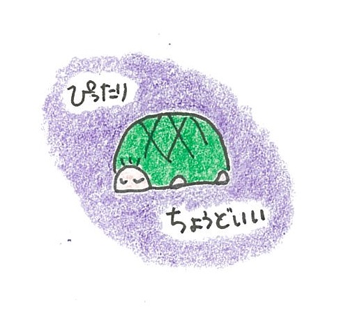 リクガメ、カメ、テキストのイラストのようです